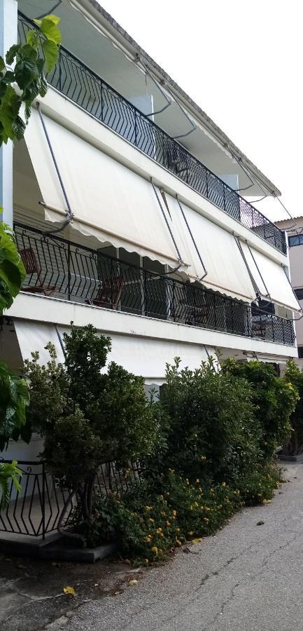 Γεώργιος Παπαϊωάννου Ενοικιαζόμενα Δωμάτια Hrónia Kültér fotó
