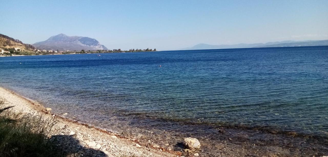 Γεώργιος Παπαϊωάννου Ενοικιαζόμενα Δωμάτια Hrónia Kültér fotó